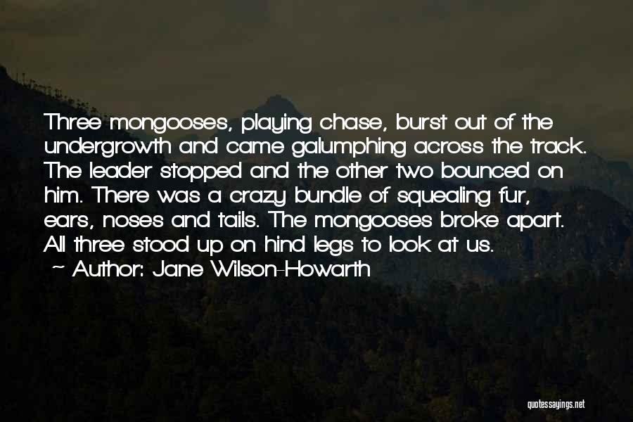 Nepal Quotes By Jane Wilson-Howarth