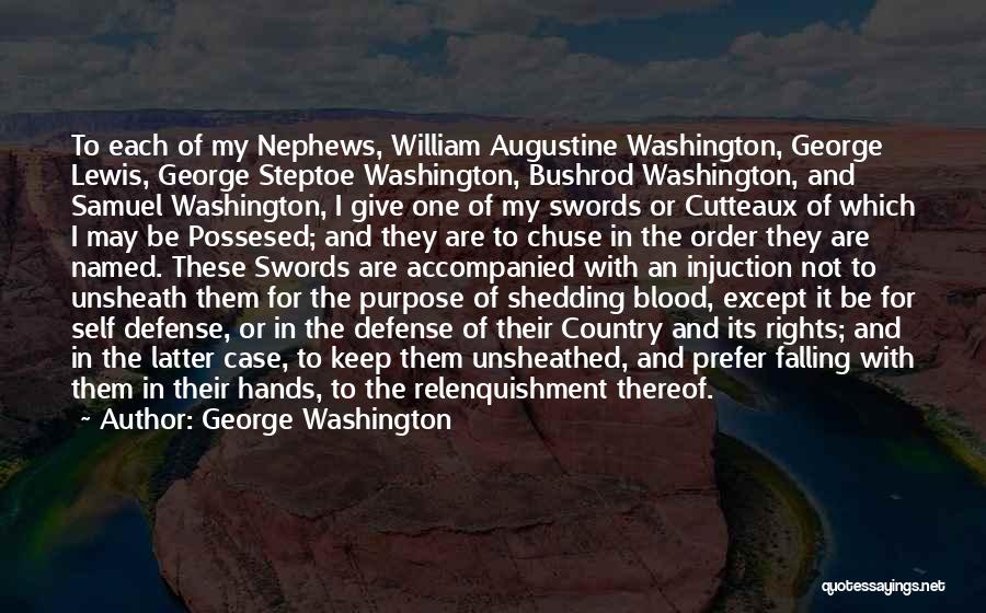 Nephews Quotes By George Washington