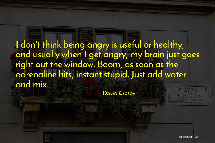 Nepomuceno Arlene Quotes By David Crosby Nepomuceno Arlene Quotes By David Crosby