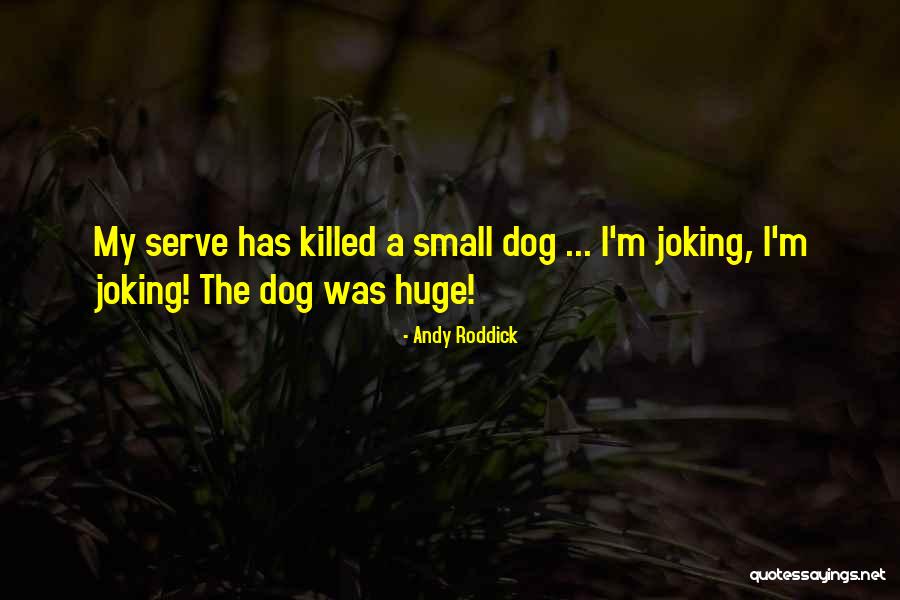Neptunia Virtual Stars Quotes By Andy Roddick Neptunia Virtual Stars Quotes By Andy Roddick