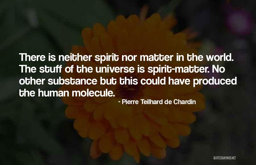 Nerd Families Quotes By Pierre Teilhard De Chardin