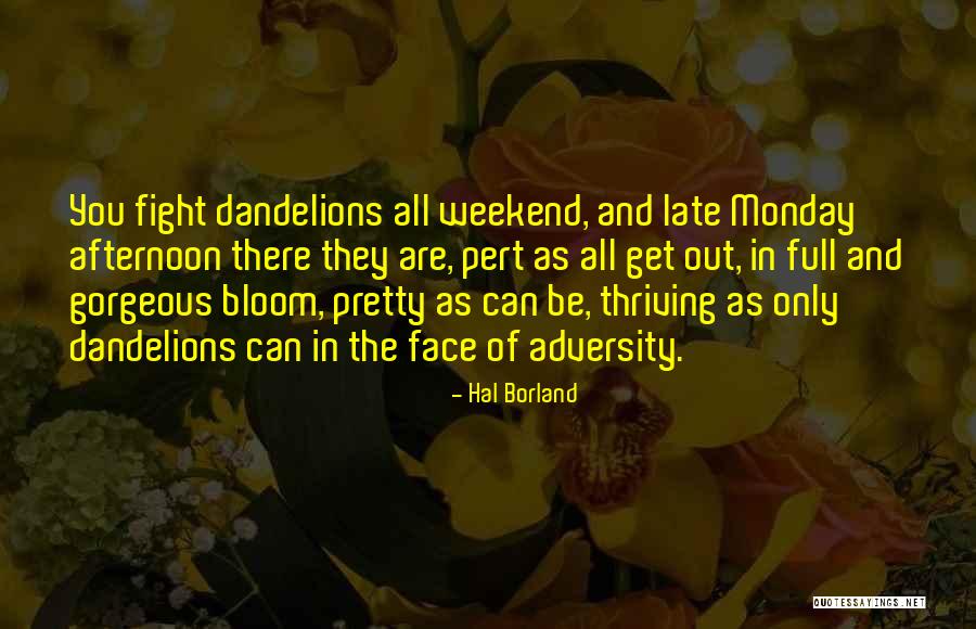 Nerdish Gif Quotes By Hal Borland Nerdish Gif Quotes By Hal Borland