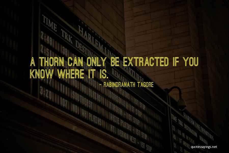 Nerella Village Quotes By Rabindranath Tagore