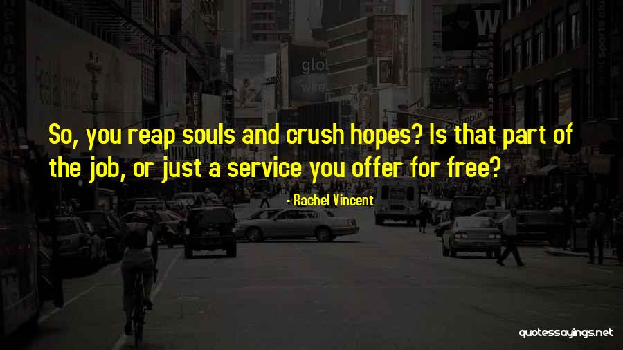 Nerlich Defabricated Quotes By Rachel Vincent Nerlich Defabricated Quotes By Rachel Vincent
