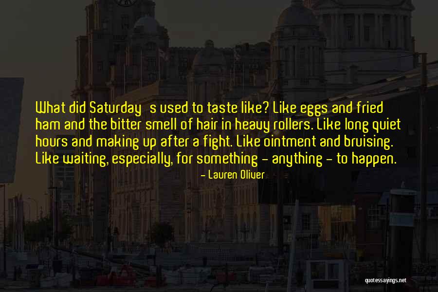 Nermin Erbakan Quotes By Lauren Oliver Nermin Erbakan Quotes By Lauren Oliver