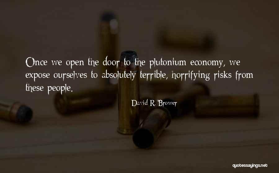 Nero Bellum Quotes By David R. Brower