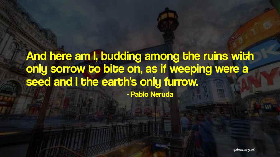 Neruda Quotes By Pablo Neruda