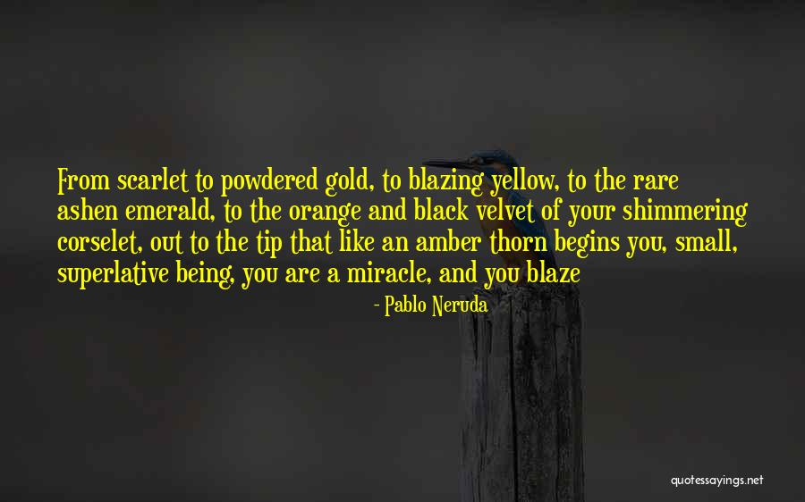 Neruda Quotes By Pablo Neruda Neruda Quotes By Pablo Neruda