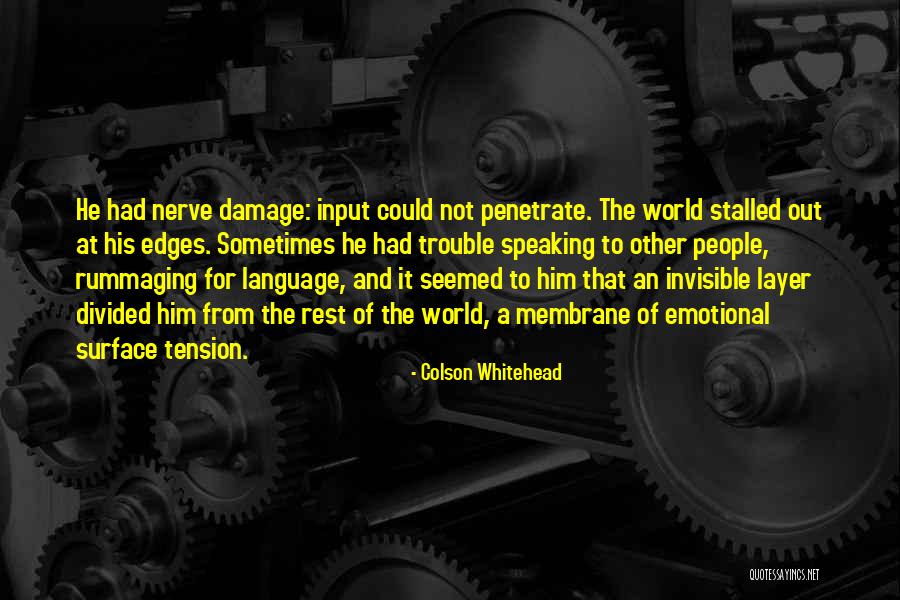 Nerve Damage Quotes By Colson Whitehead Nerve Damage Quotes By Colson Whitehead