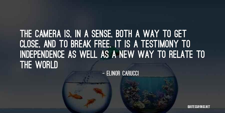 Nerve Racking Synonyms Quotes By Elinor Carucci Nerve Racking Synonyms Quotes By Elinor Carucci