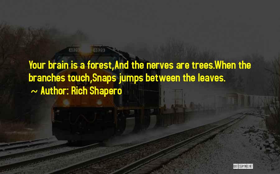 Nerves Quotes By Rich Shapero