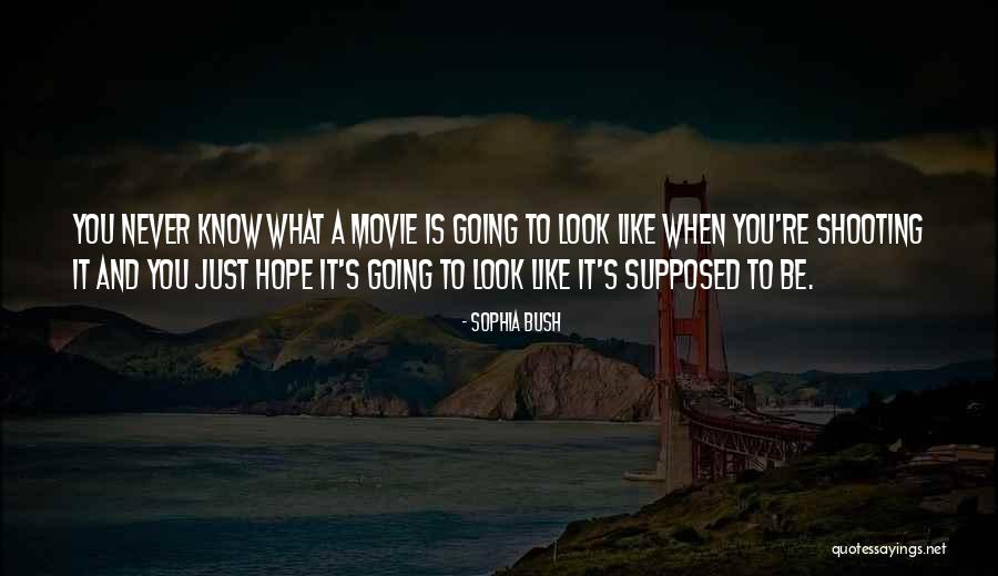 Nervosita Quotes By Sophia Bush Nervosita Quotes By Sophia Bush