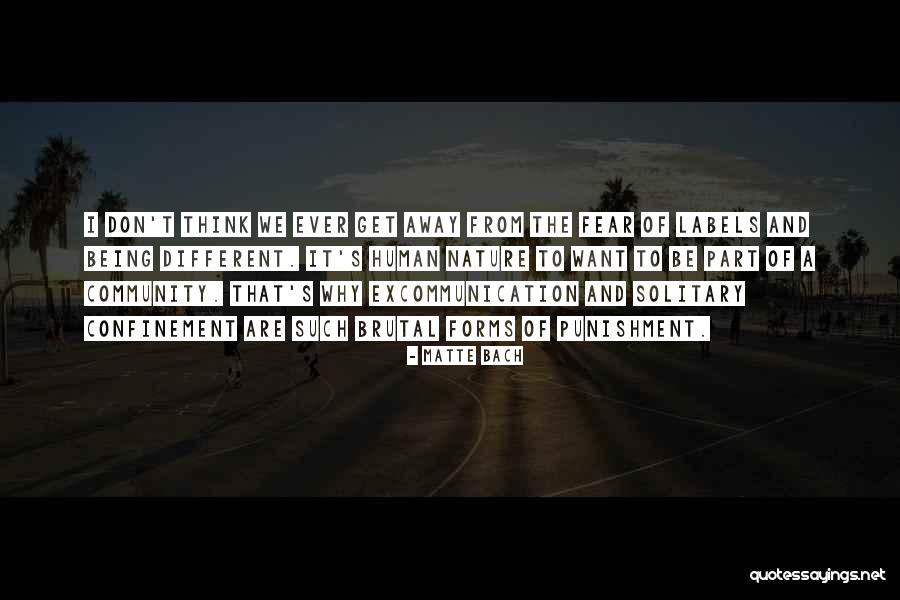 Nesbits Market Quotes By Matte Bach Nesbits Market Quotes By Matte Bach