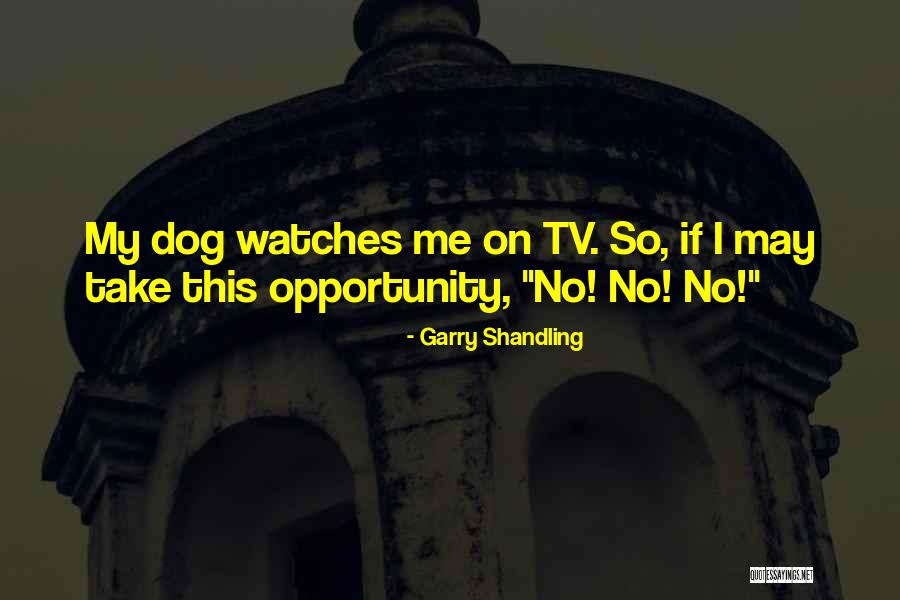 Neshia Nash Quotes By Garry Shandling Neshia Nash Quotes By Garry Shandling