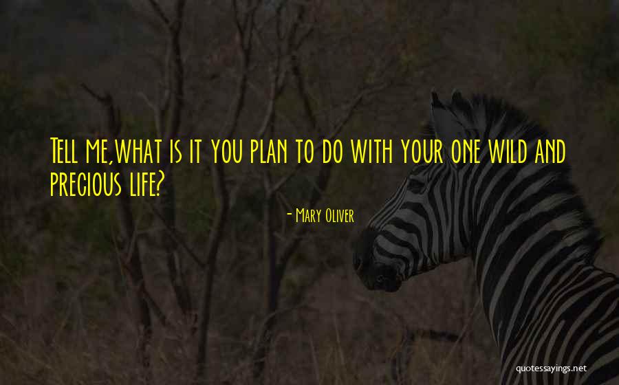 Nesiseka Quotes By Mary Oliver Nesiseka Quotes By Mary Oliver