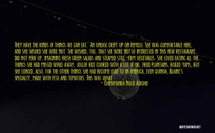 Neskowin Quotes By Chimamanda Ngozi Adichie Neskowin Quotes By Chimamanda Ngozi Adichie