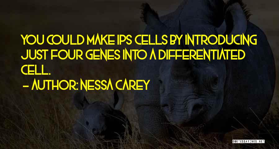 Nessa Carey Quotes 2100750