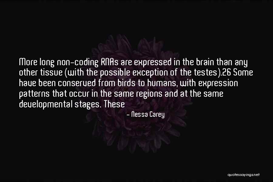 Nessa's Quotes By Nessa Carey Nessa's Quotes By Nessa Carey