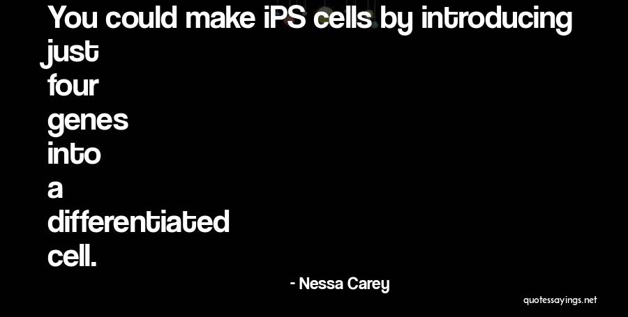 Nessa's Quotes By Nessa Carey Nessa's Quotes By Nessa Carey