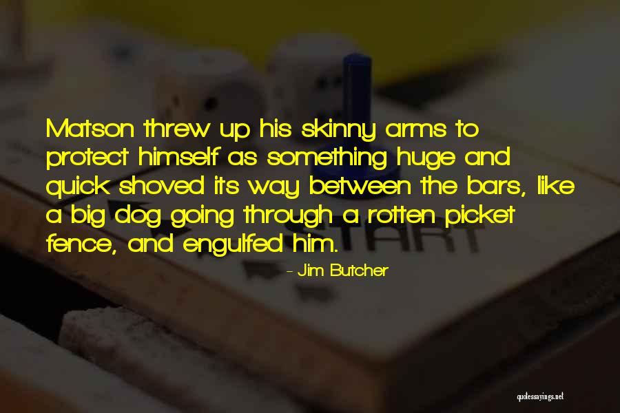 Nessler Park Quotes By Jim Butcher Nessler Park Quotes By Jim Butcher