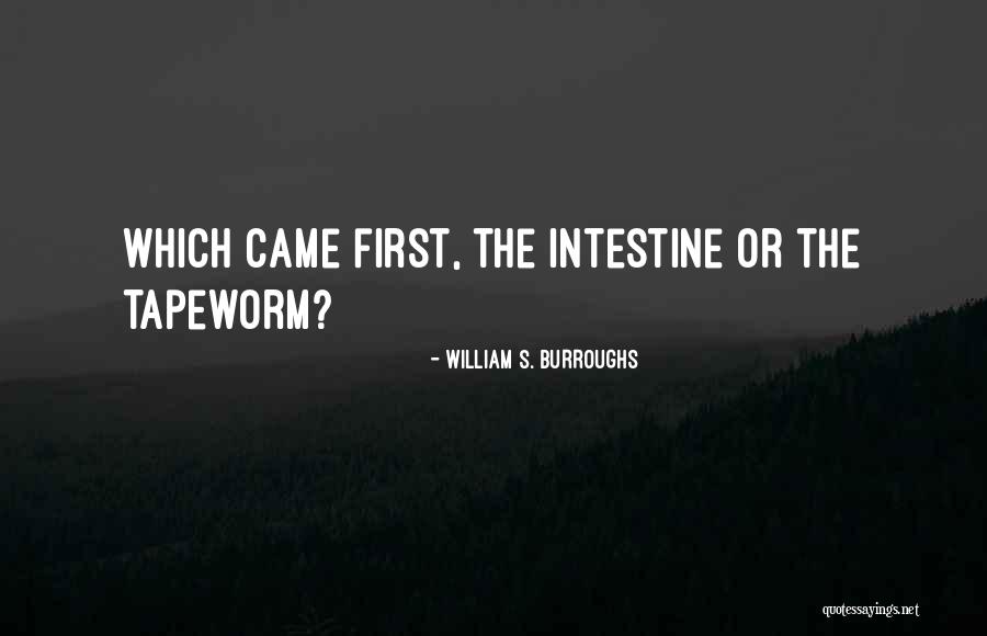 Nessman Anchor Quotes By William S. Burroughs Nessman Anchor Quotes By William S. Burroughs