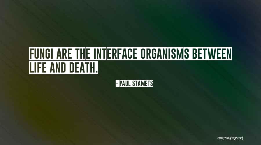 Nessuna Pieta Quotes By Paul Stamets Nessuna Pieta Quotes By Paul Stamets