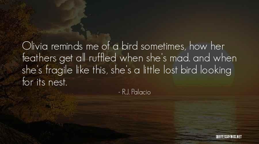 Nest And Home Quotes By R.J. Palacio Nest And Home Quotes By R.J. Palacio