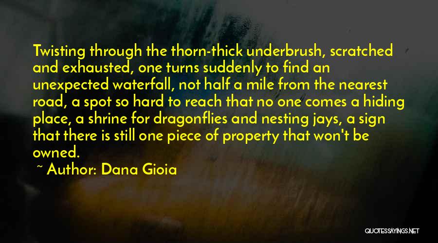 Nesting Quotes By Dana Gioia