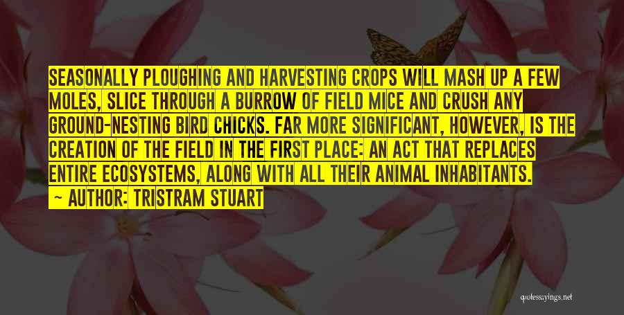Nesting Quotes By Tristram Stuart