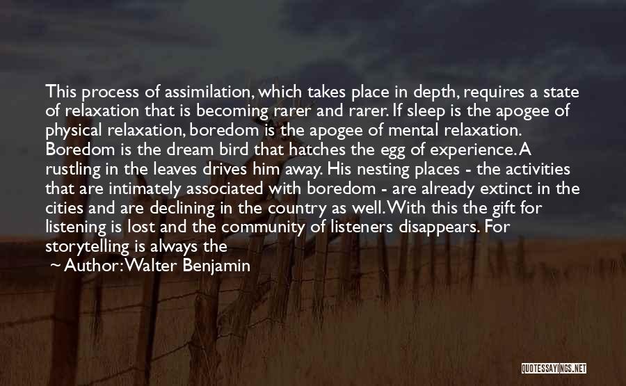 Nesting Quotes By Walter Benjamin