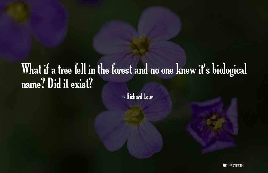 Nestorius Theotokos Quotes By Richard Louv Nestorius Theotokos Quotes By Richard Louv