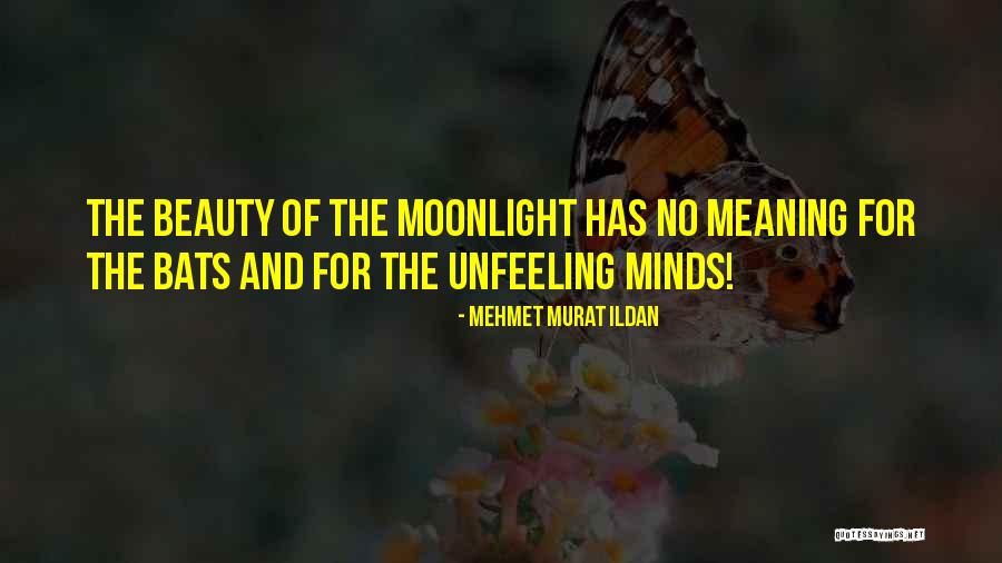 Nestrieni Quotes By Mehmet Murat Ildan Nestrieni Quotes By Mehmet Murat Ildan