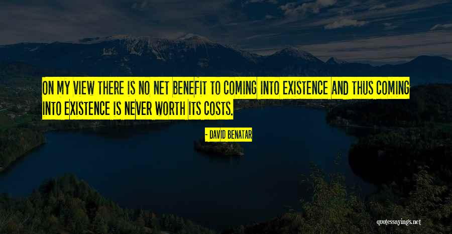 Net Worth Quotes By David Benatar