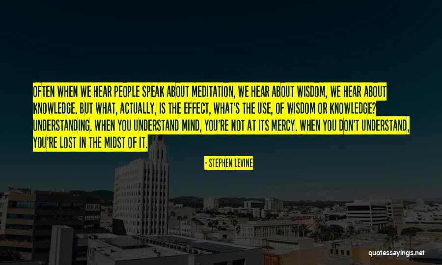 Netbook Quotes By Stephen Levine Netbook Quotes By Stephen Levine