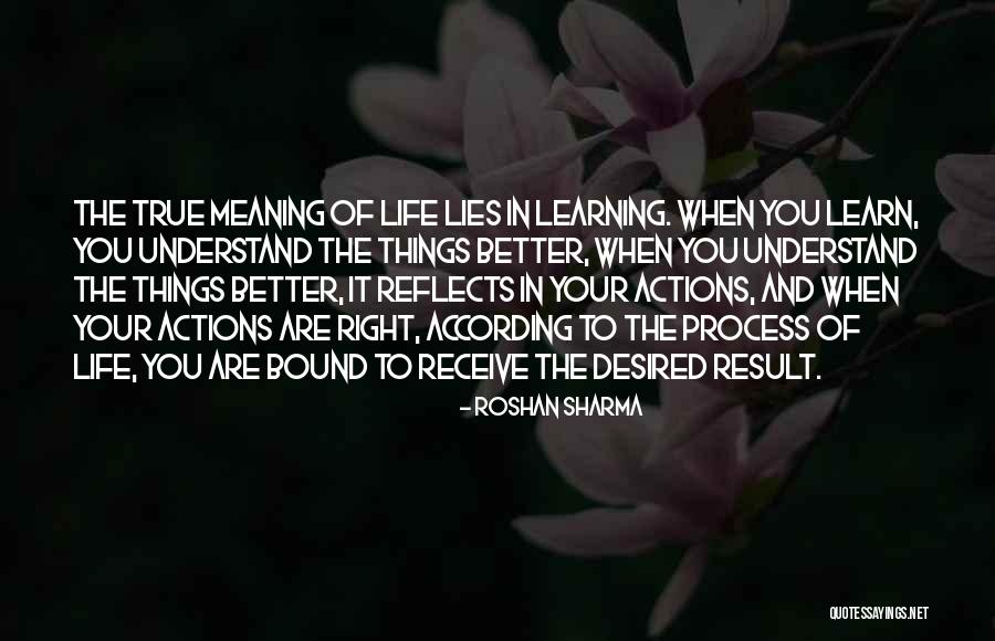 Netezza Architecture Quotes By Roshan Sharma Netezza Architecture Quotes By Roshan Sharma