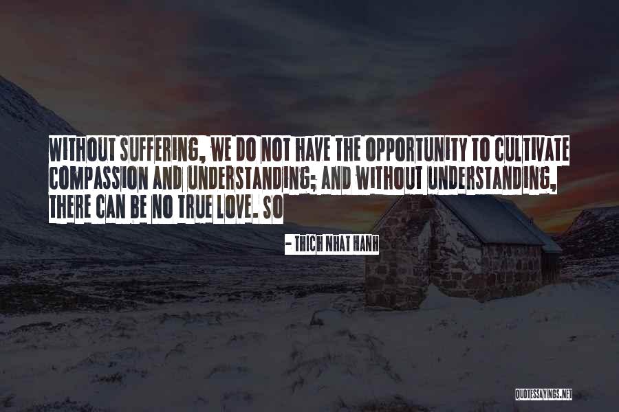 Netezza Database Quotes By Thich Nhat Hanh Netezza Database Quotes By Thich Nhat Hanh