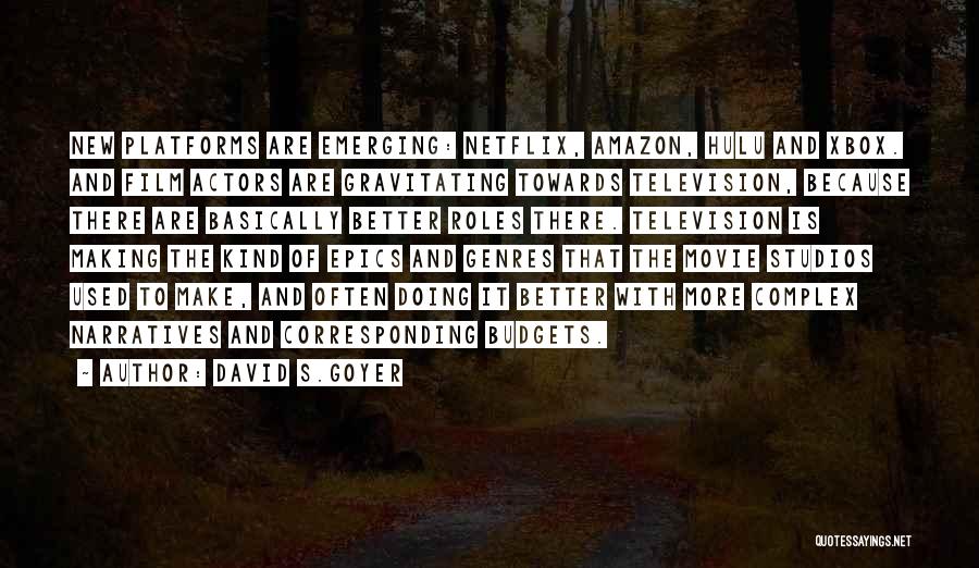 Netflix Quotes By David S.Goyer