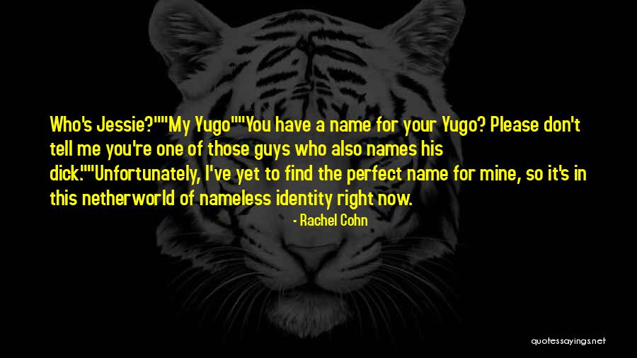 Netherworld Quotes By Rachel Cohn Netherworld Quotes By Rachel Cohn