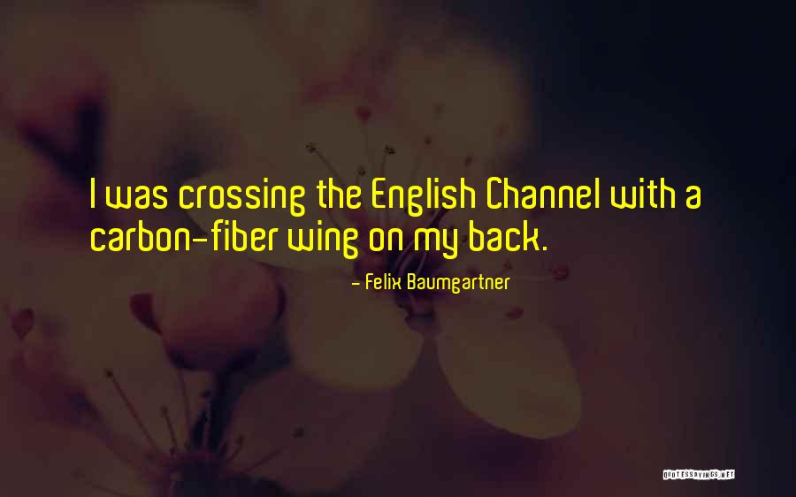 Nethuli Spa Quotes By Felix Baumgartner