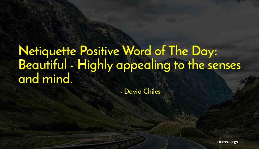 Netiquette Quotes By David Chiles