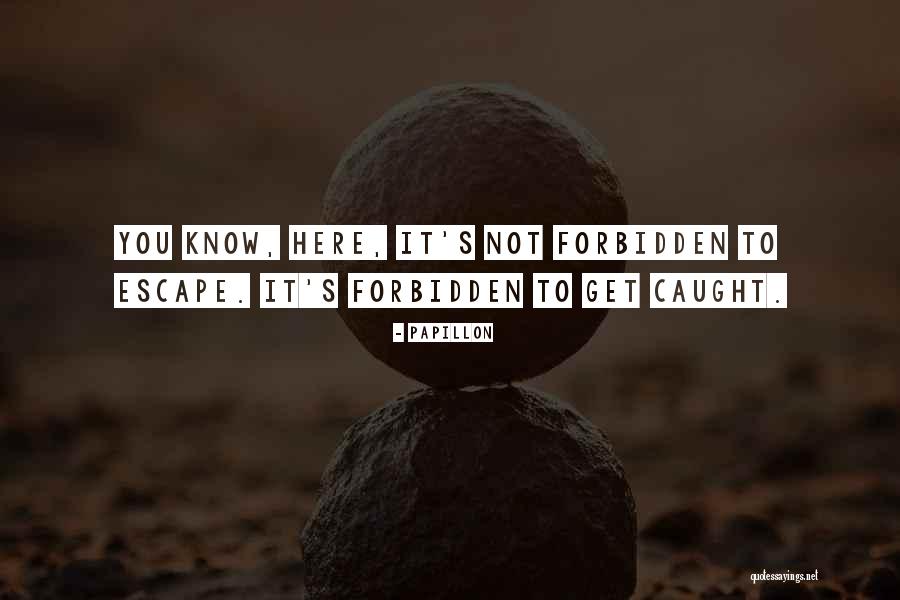 Netossa Quotes By Papillon Netossa Quotes By Papillon
