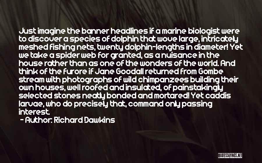 Nets Quotes By Richard Dawkins
