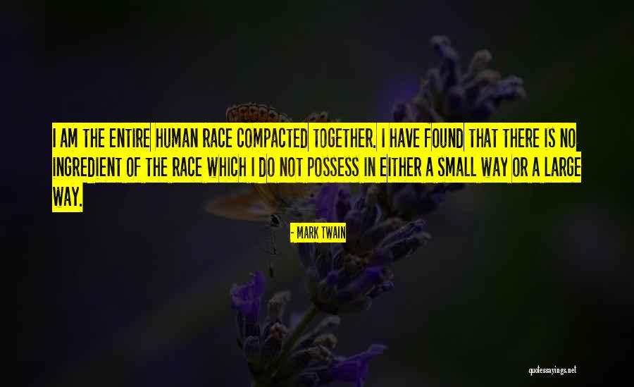 Netsanet Workneh Quotes By Mark Twain Netsanet Workneh Quotes By Mark Twain