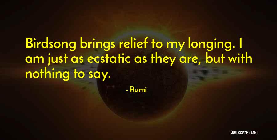 Nettare Dolivo Quotes By Rumi Nettare Dolivo Quotes By Rumi
