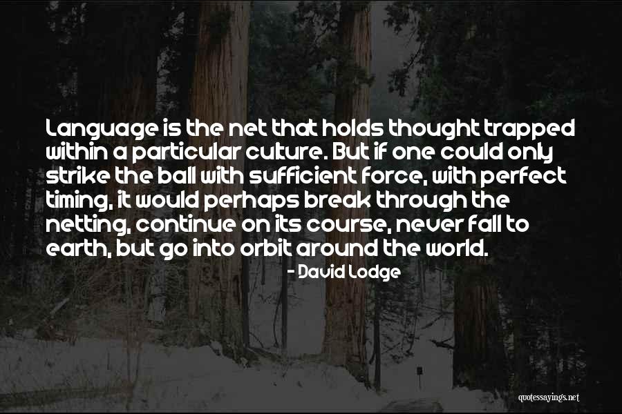 Netting Quotes By David Lodge