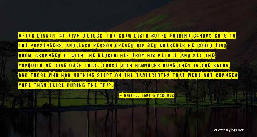 Netting Quotes By Gabriel Garcia Marquez