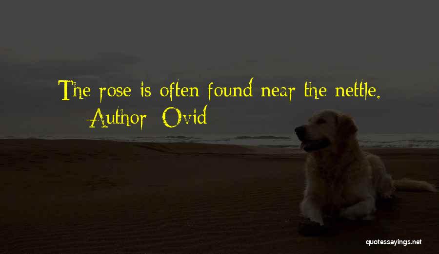 Nettles Quotes By Ovid