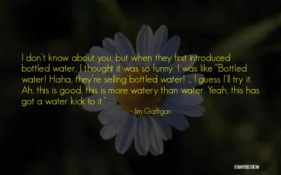 Netweaver Portal Quotes By Jim Gaffigan Netweaver Portal Quotes By Jim Gaffigan