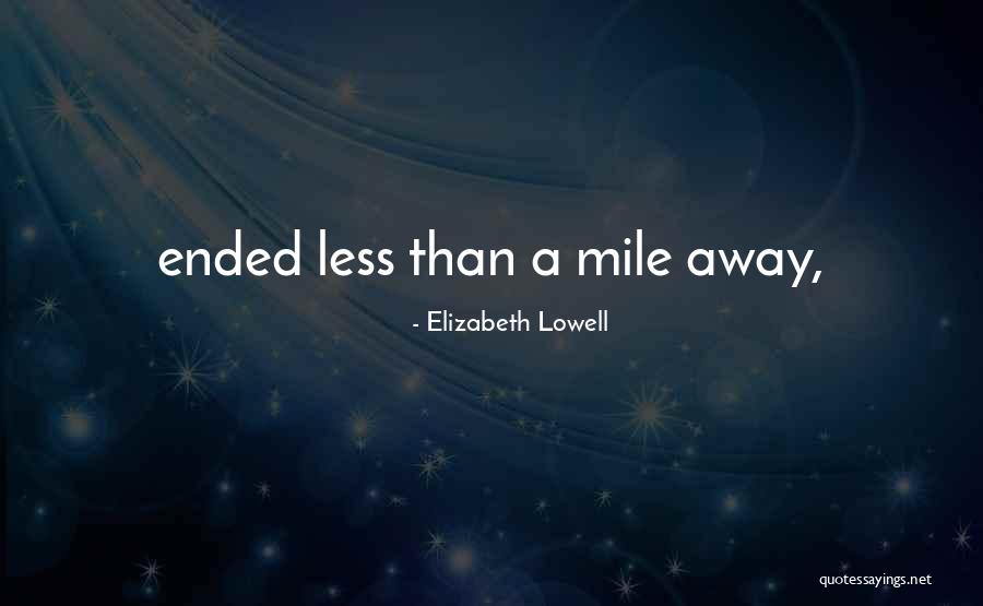 Networker Plus Quotes By Elizabeth Lowell