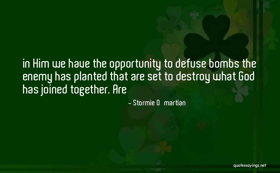 Netzley Landscape Quotes By Stormie O'martian Netzley Landscape Quotes By Stormie O'martian